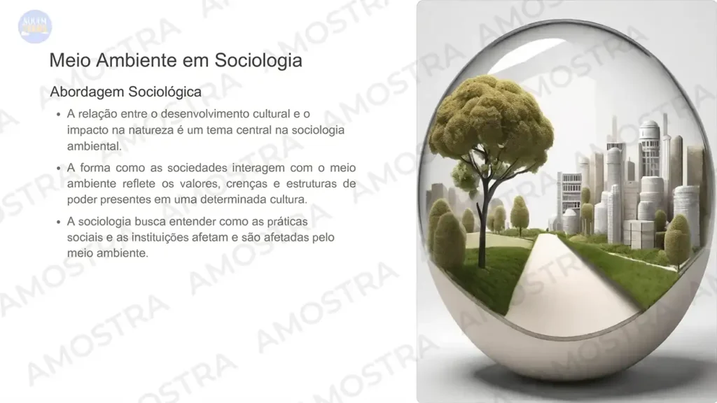 ATIVIDADE SOCIOLOGIA 3