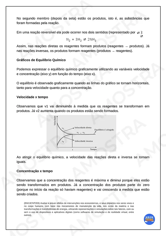 Equilíbrio químico amostra 2